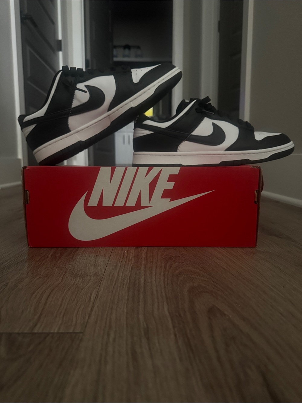 Nike Dunk Low Retro